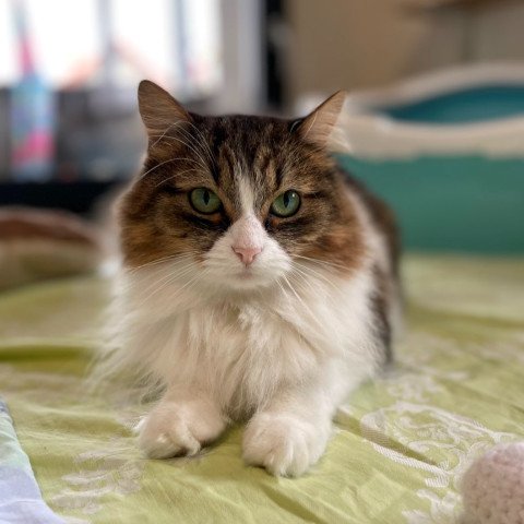 Ella